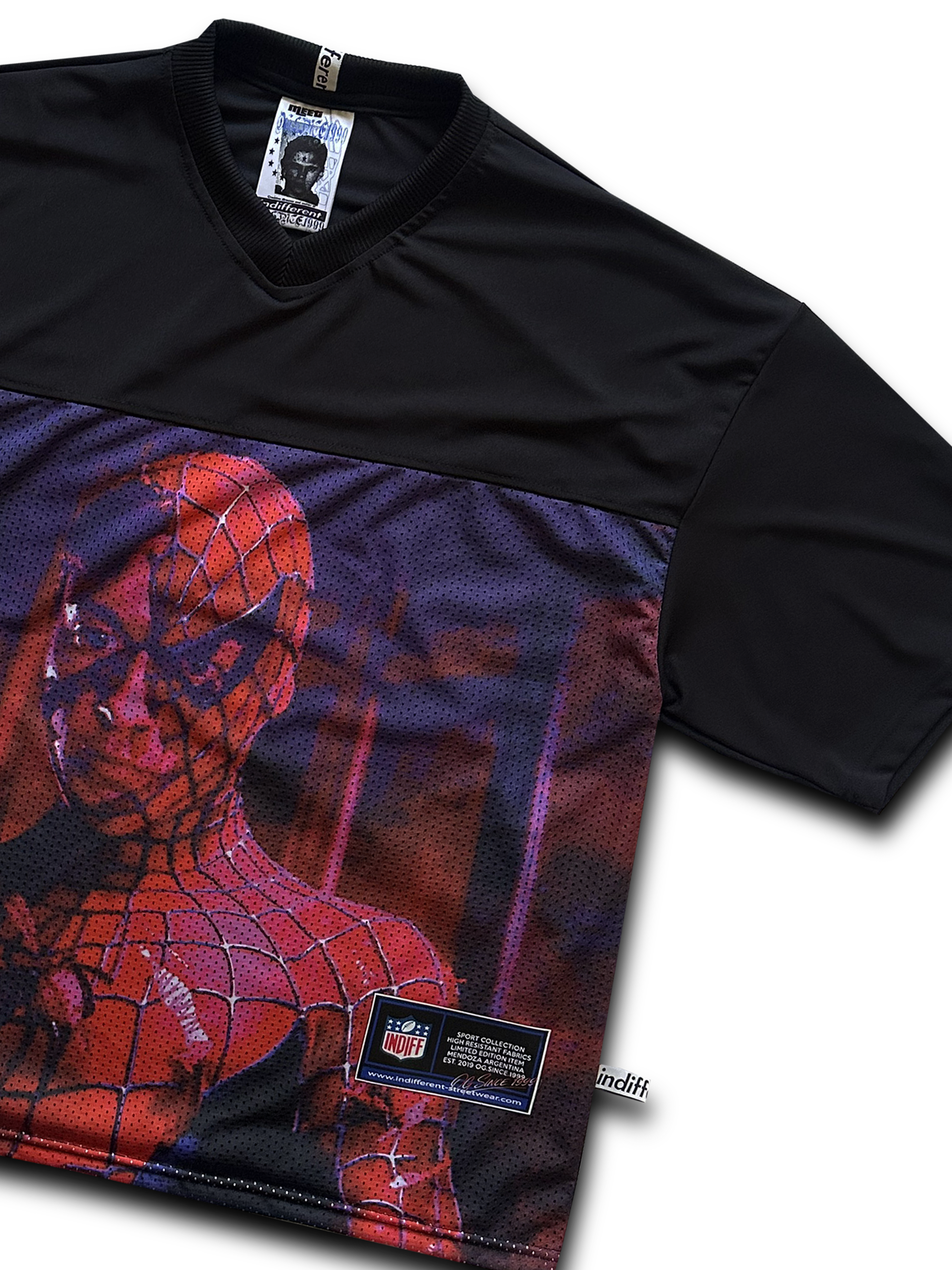 SPIDER-MAN 2001 - Imagen 2