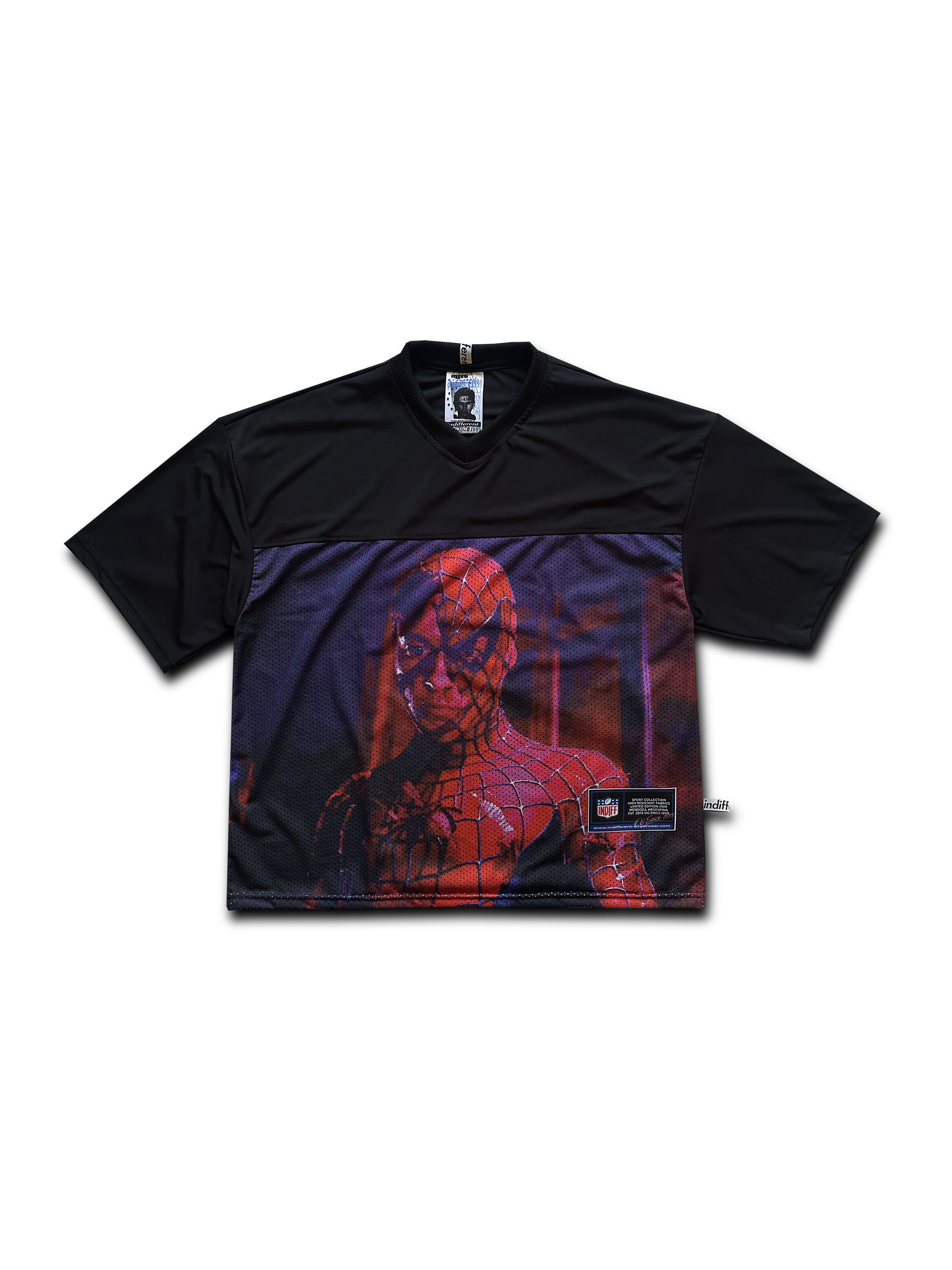 SPIDER-MAN 2001 - Imagen 3